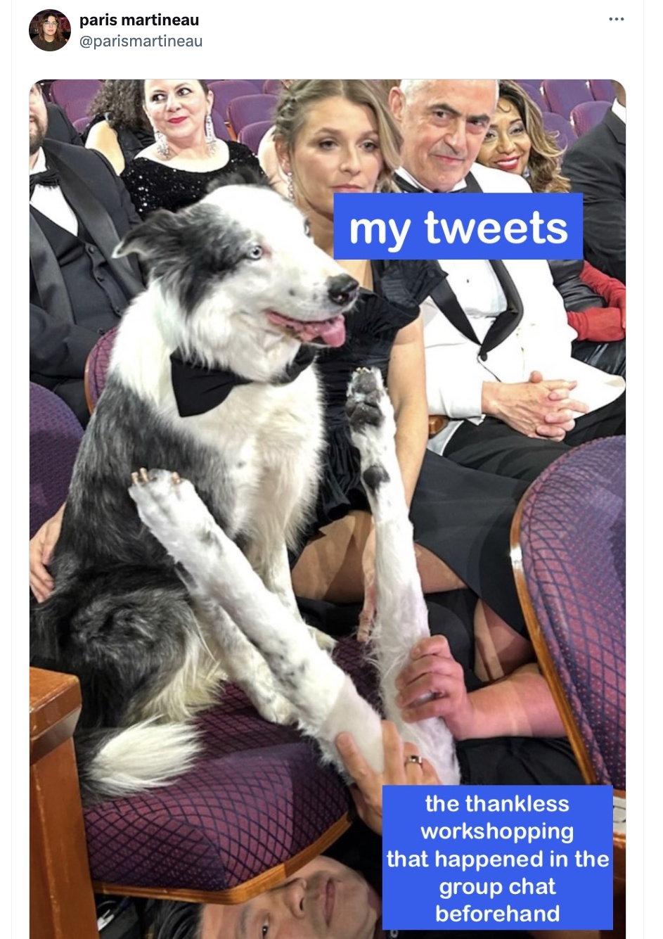 dog - paris martineau my tweets the thankless workshopping that happened in the group chat beforehand